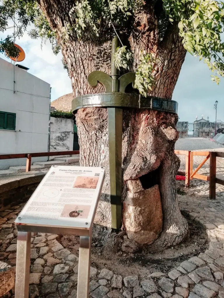 What to visit Tras-os-Montes Freixo de Espada à Cinta