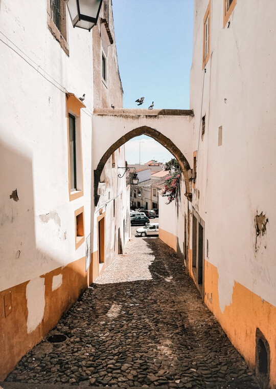 Alentejo Countryside Evora