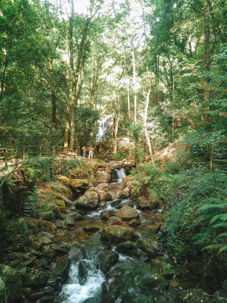 Visit Sever do Vouga Cabreia Waterfall