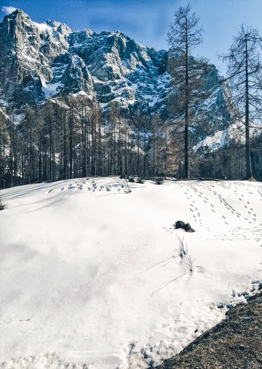 Slovenia Vrsic Pass