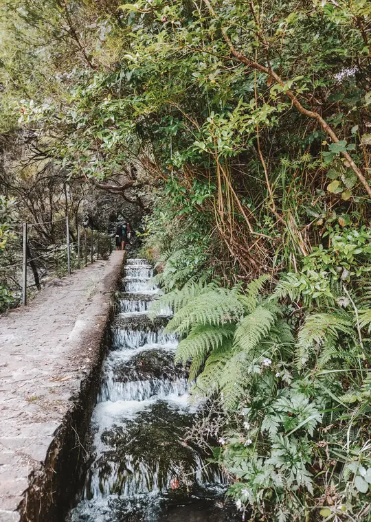 Madeira Trails Levada Vereda Levada 25 Fontes Levada Risco