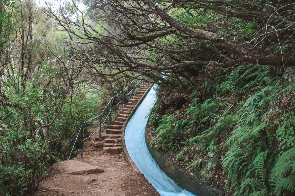 Madeira Trails Levada Vereda Levada do Alecrim Lagoa Vento
