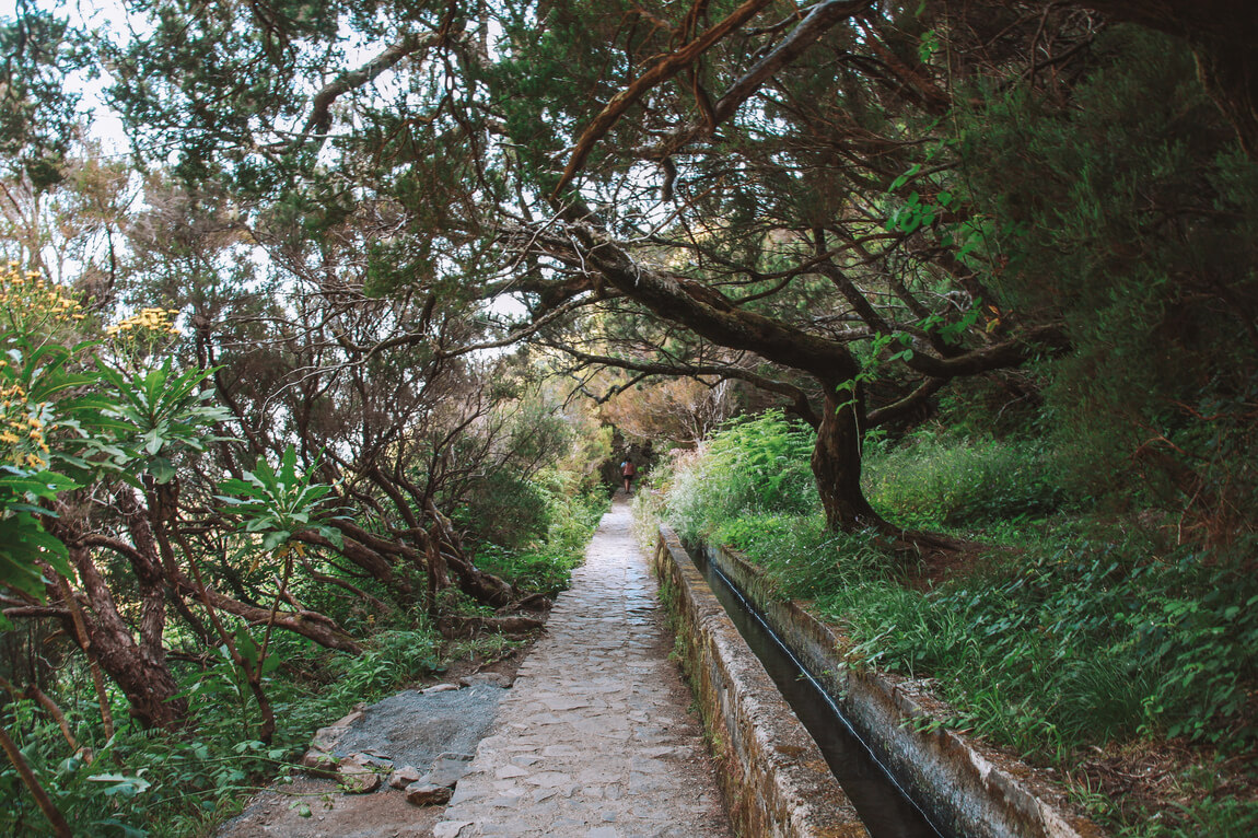 Madeira Trilhos Levada Vereda_Levada 25 Fontes Levada Risco