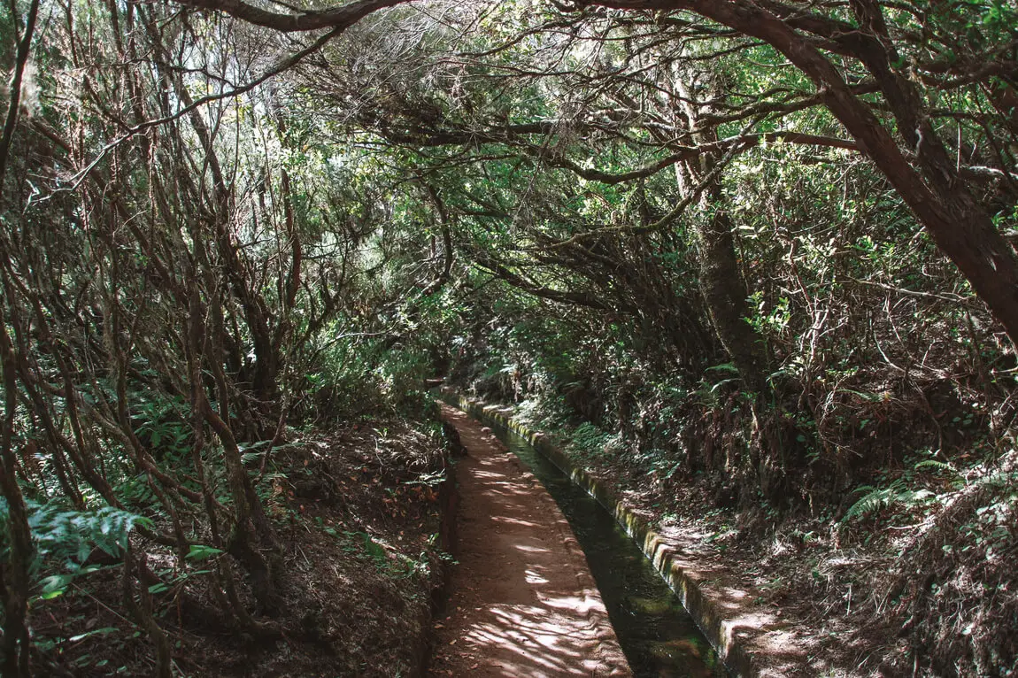 Madeira Trilhos Levada Vereda_Levada do Alecrim Lagoa do Vento
