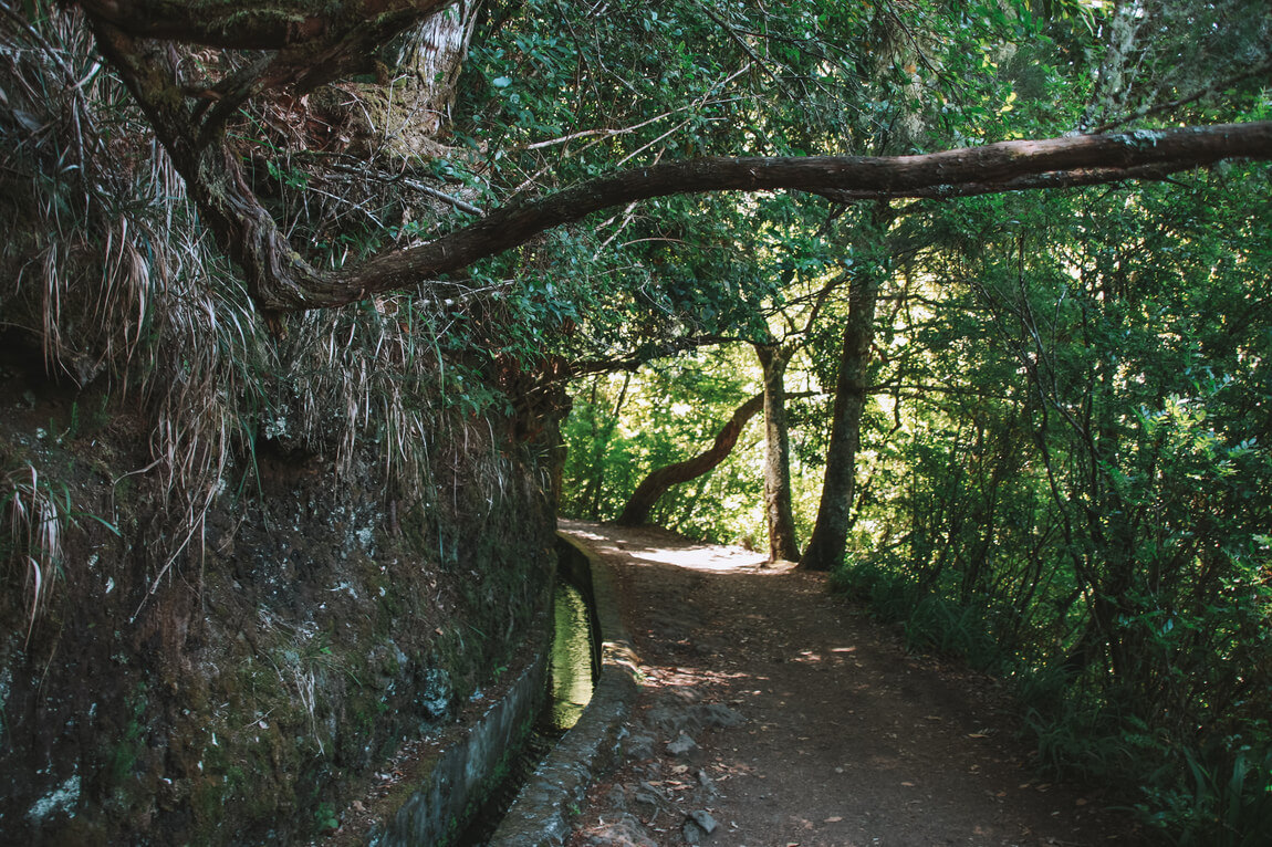 Madeira Trilhos Levada Vereda Vereda dos Balcões