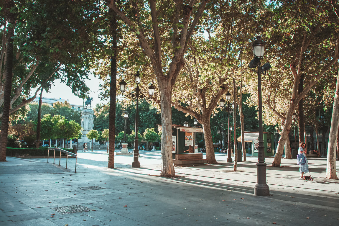 Seville what to visit Plaza Nueva