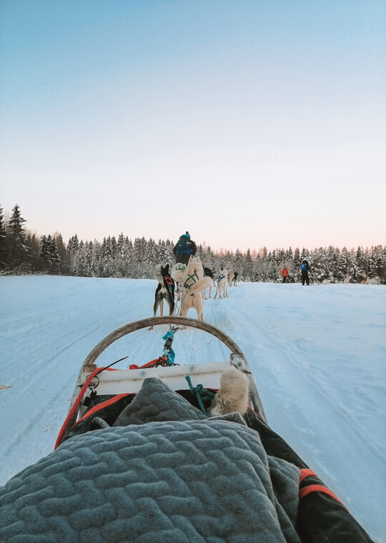 Lapland What to visit Huskies