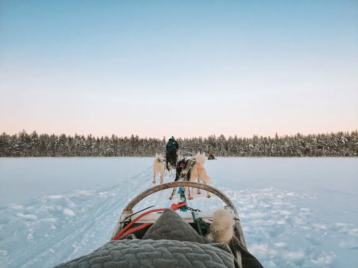 Lapland What to visit Huskies