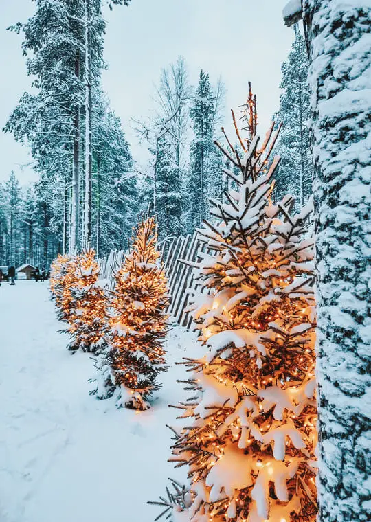 Laponia O que visitar Santa Claus Village