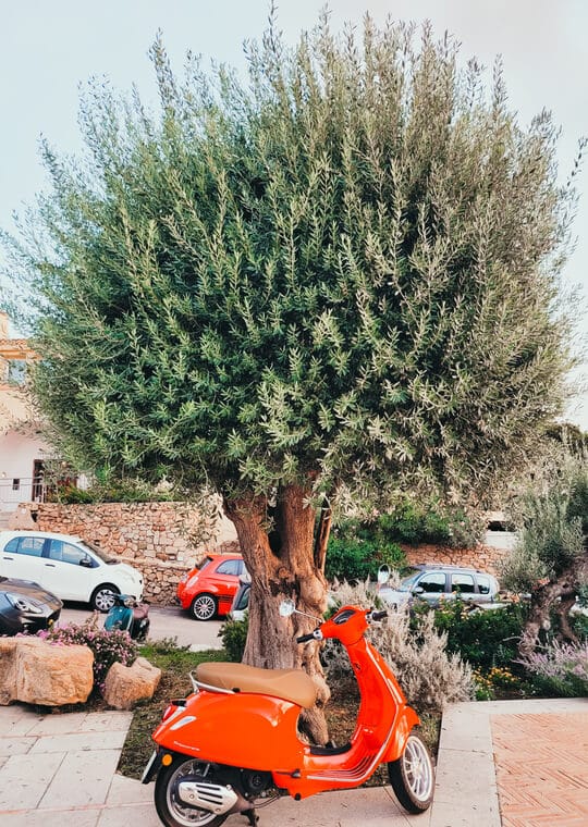 North Sardinia What to visit Porto Cervo