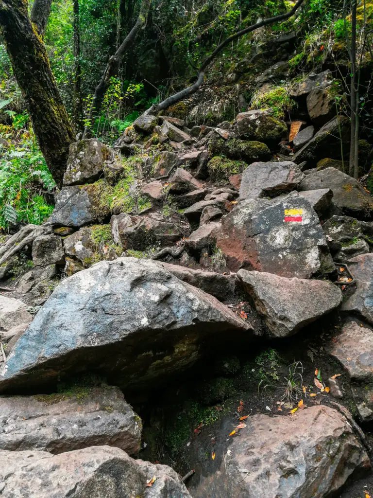Guia para visitar Cascata Pedra Ferida