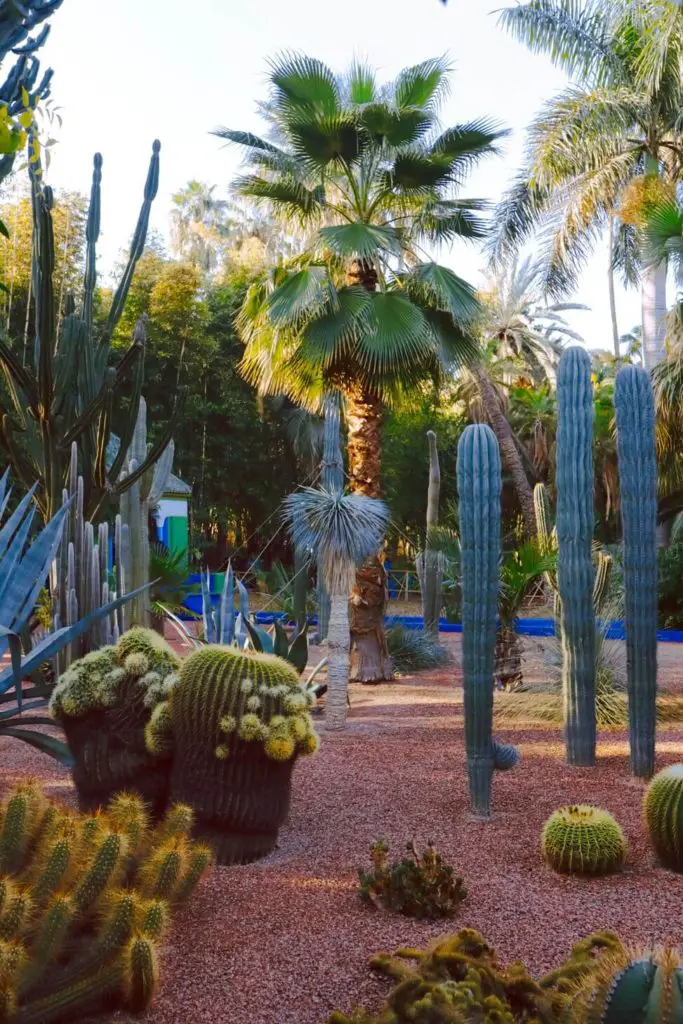 What to visit in Marrakech Majorelle Garden