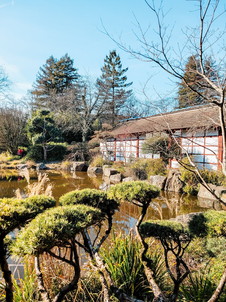 What to visit in Nantes île de Versailles