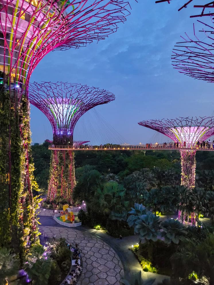 O que fazer em Singapura OCBC Skyway