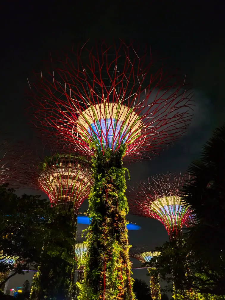 O que fazer em Singapura Supertree Grove