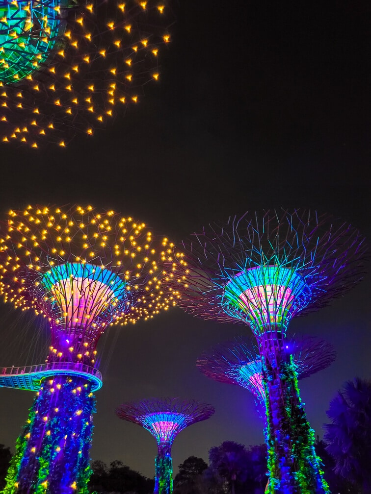 Singapore itinerary 4 days Supertree Grove