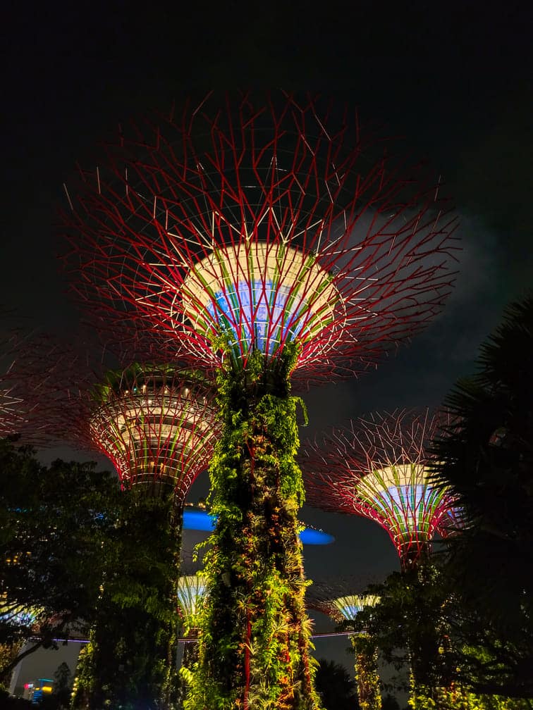 Singapore itinerary 4 days Supertree Grove