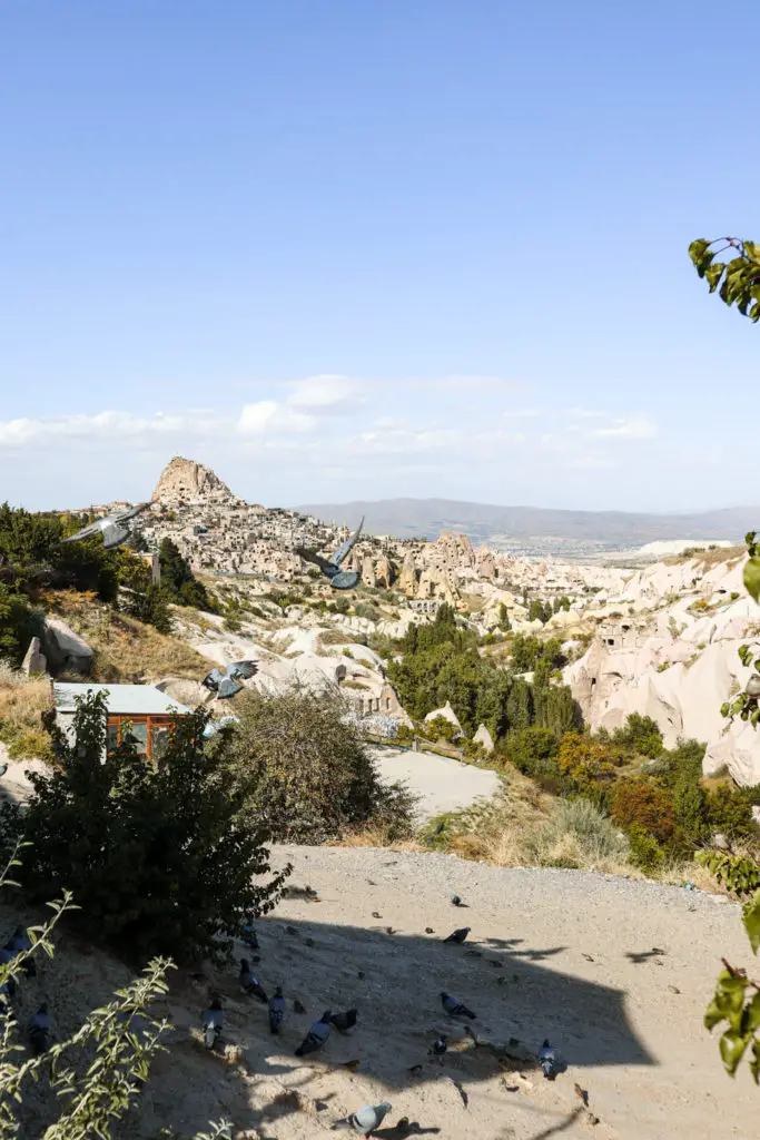 Best of Cappadocia in 2 days Pigeon Valley