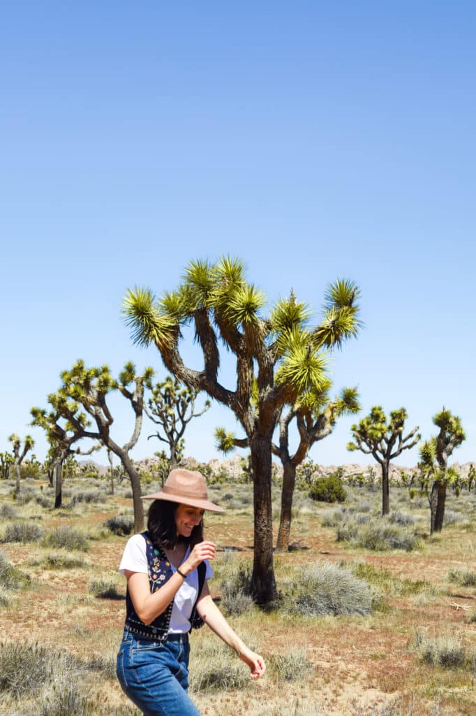 Joshua Tree National Park Itinerary Cap Rock Nature Loop