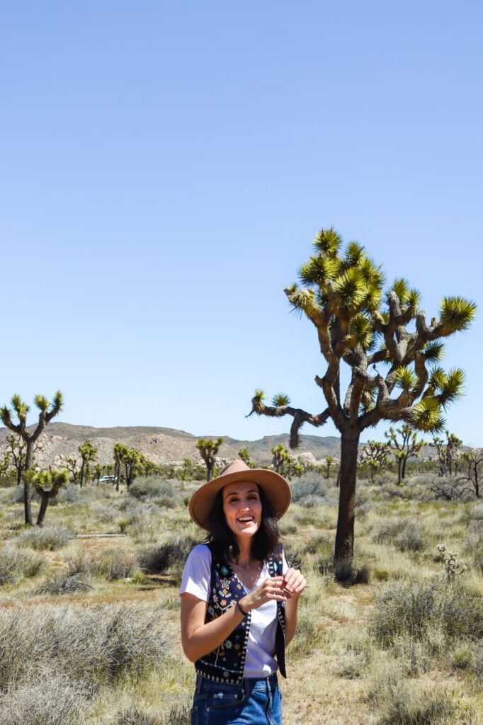 Joshua Tree National Park Itinerary Cap Rock Nature Loop