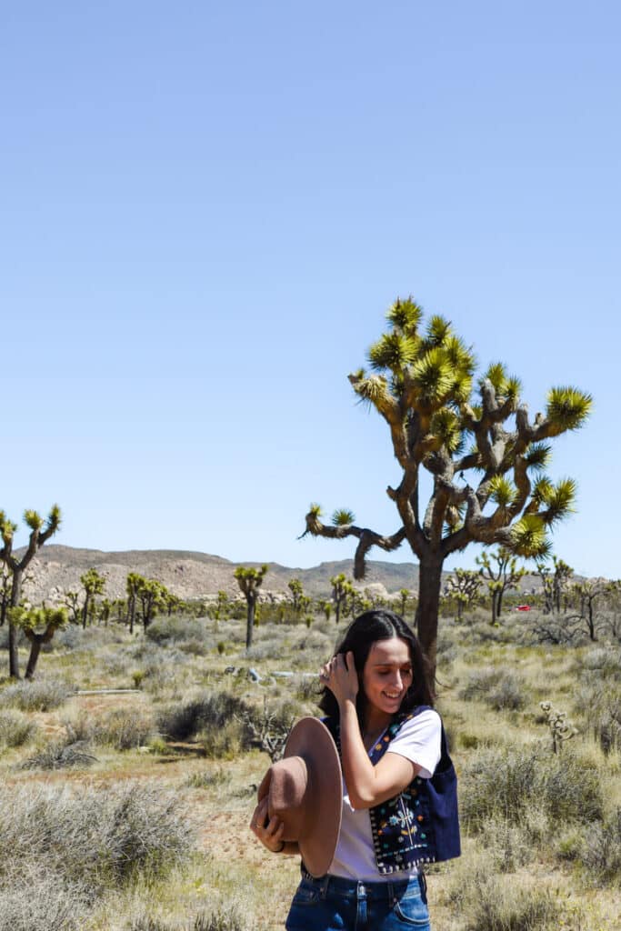 Joshua Tree National Park Itinerary Cap Rock Nature Loop