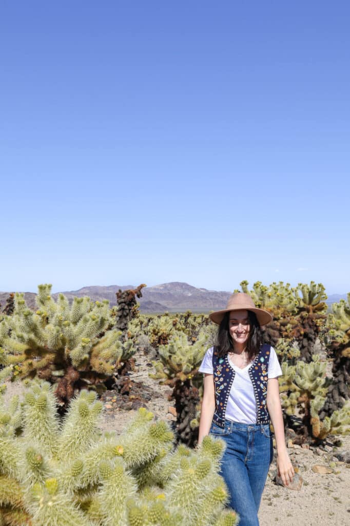 Joshua Tree National Park Itinerary Cholla Cactus Garden