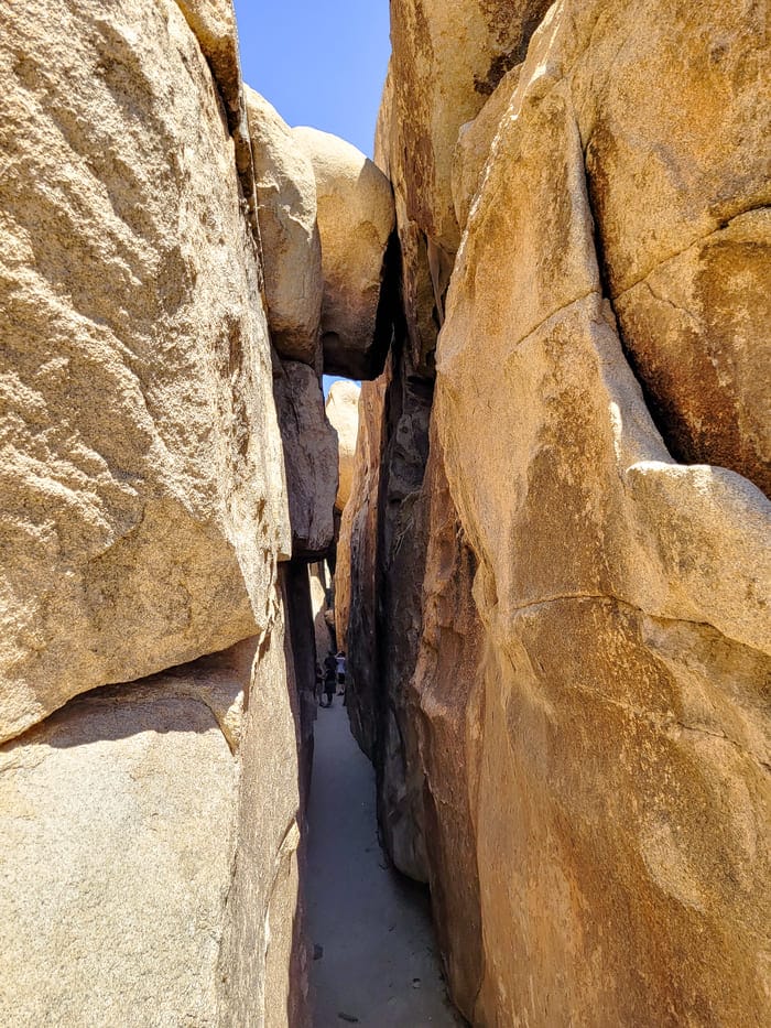 Joshua Tree National Park Itinerary Hall of Horrors