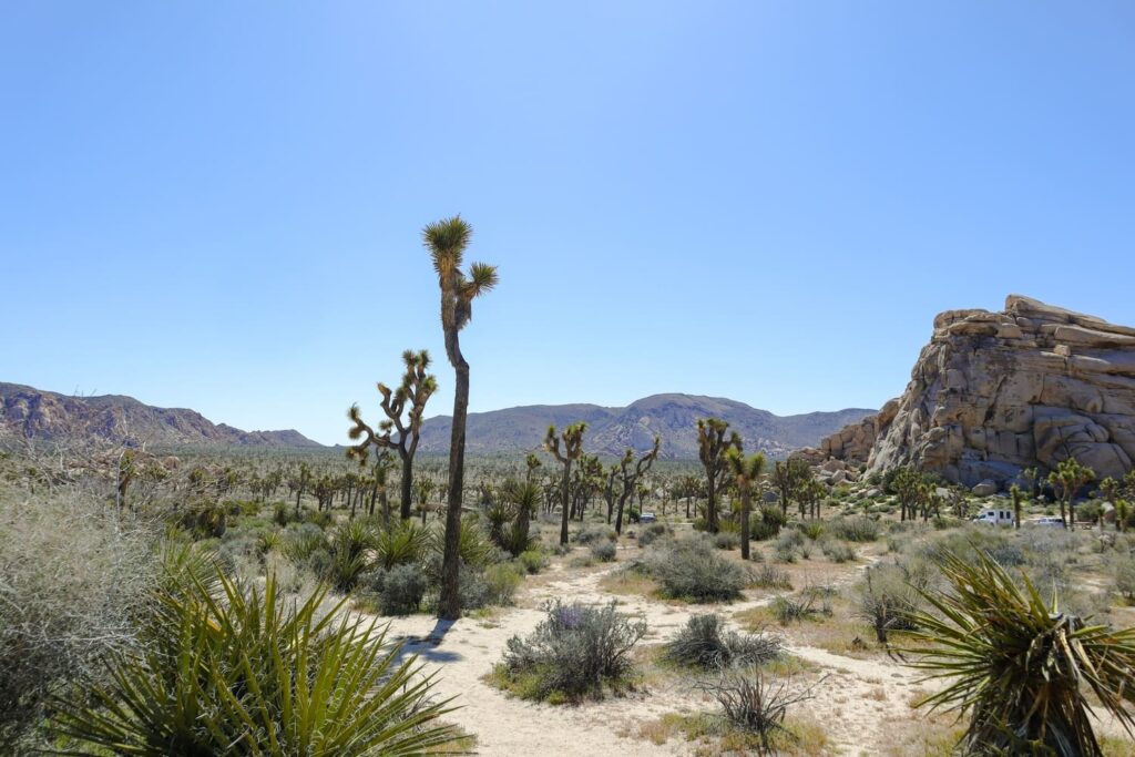 Joshua Tree National Park Itinerary Hidden Valley Trail