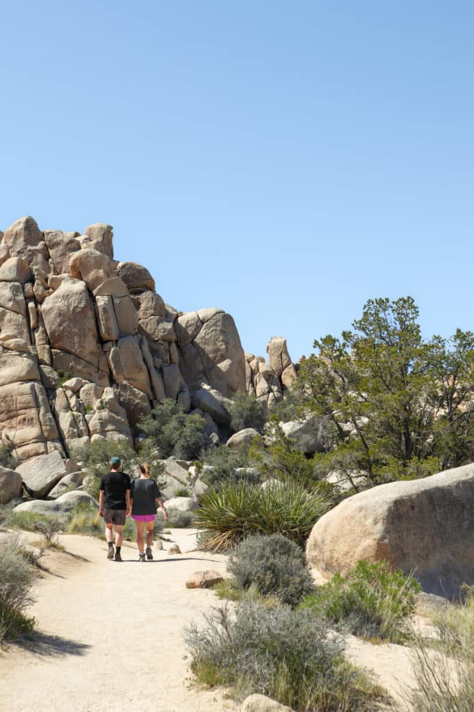 Joshua Tree National Park Itinerary Hidden Valley Trail