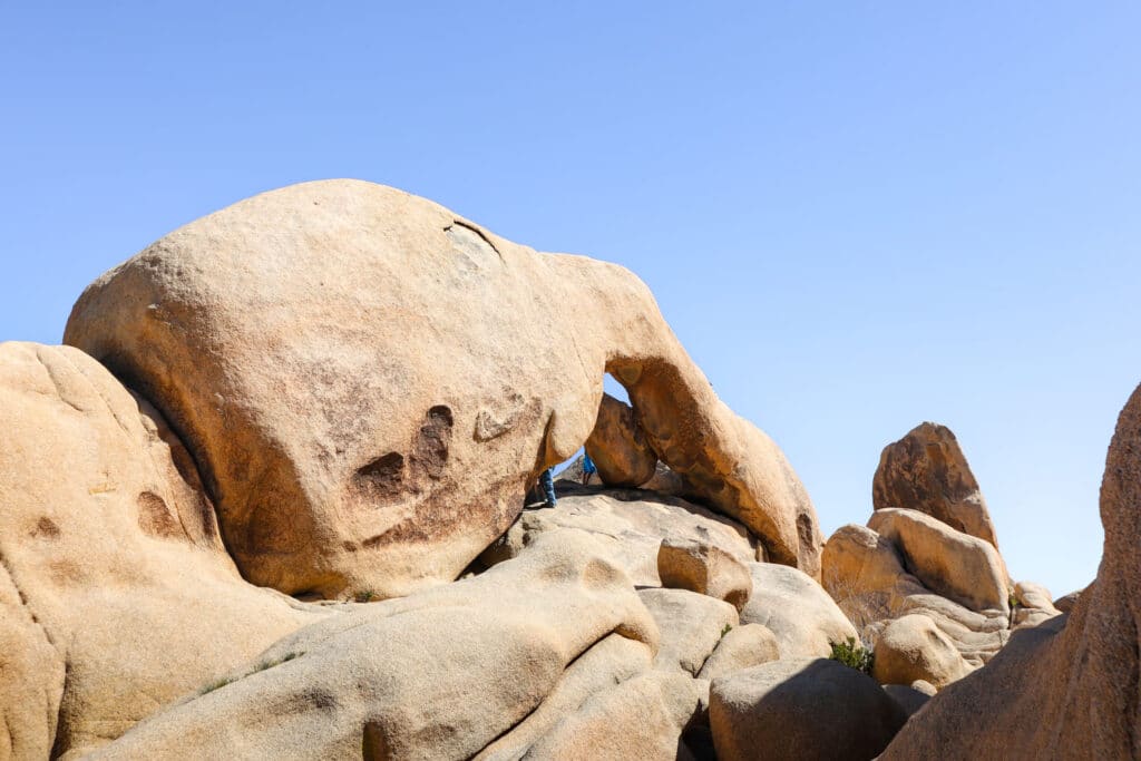 Joshua Tree National Park Itinerary Joshua Tree Arch Rock Trail