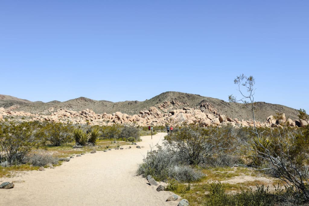 Joshua Tree National Park Itinerary Joshua Tree Arch Rock Trail