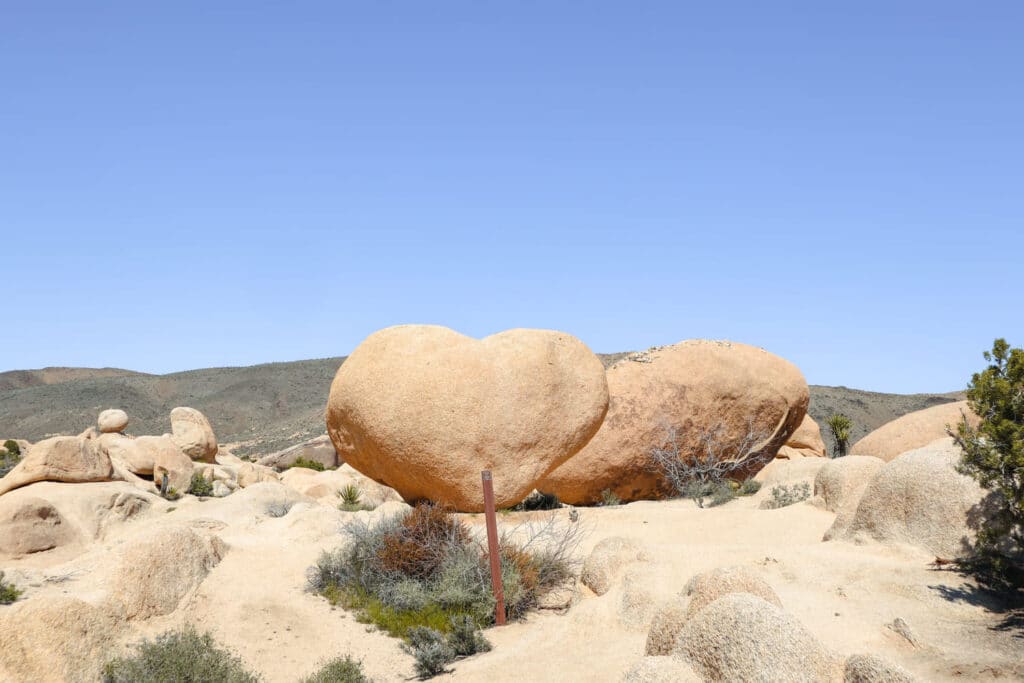 Joshua Tree National Park Itinerary Joshua Tree Arch Rock Trail