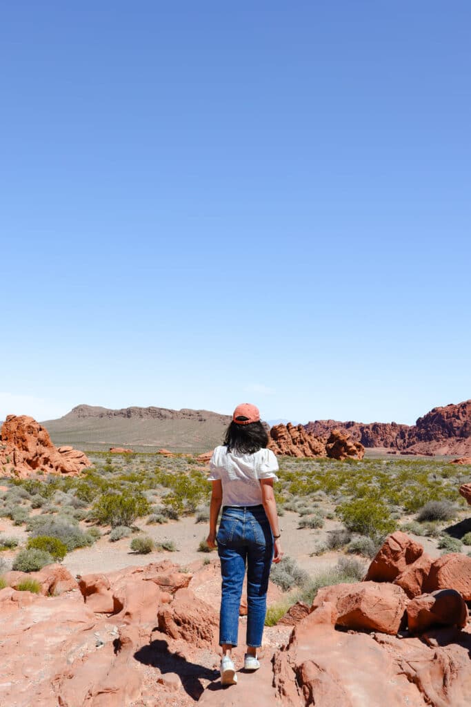 Things to do in Valley of Fire Beehives