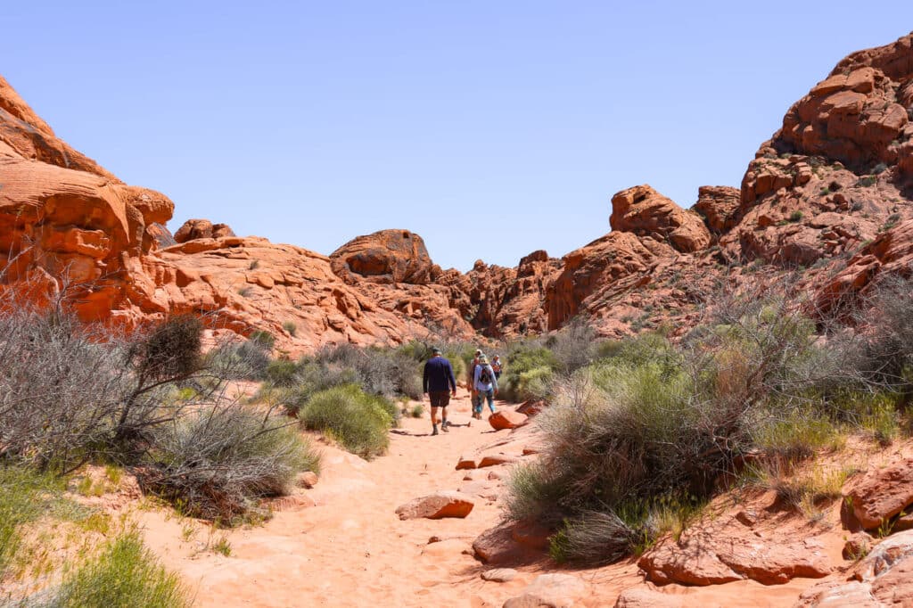 Things to do in Valley of Fire Mouses Tank