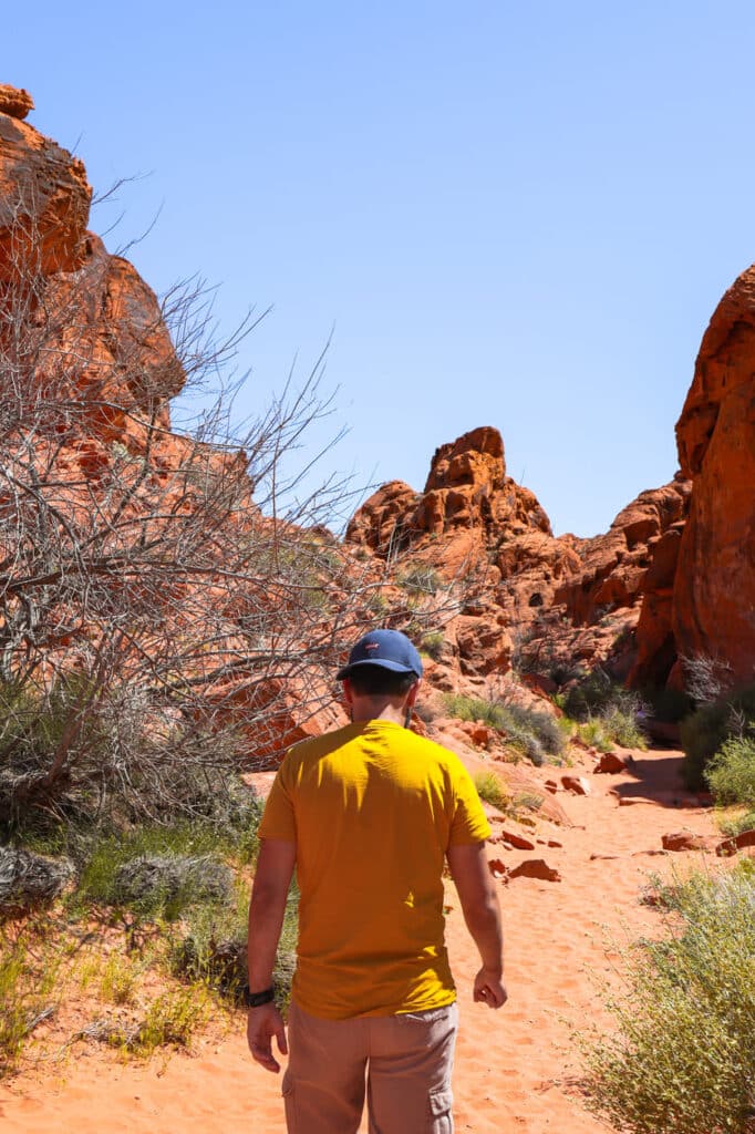 Things to do in Valley of Fire Mouses Tank