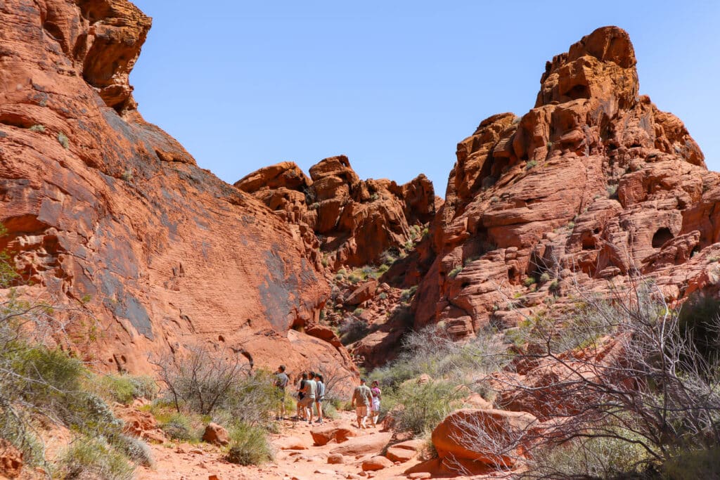 Things to do in Valley of Fire Mouses Tank