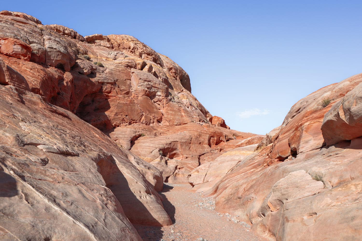 Things to do in Valley of Fire Pink Canyon