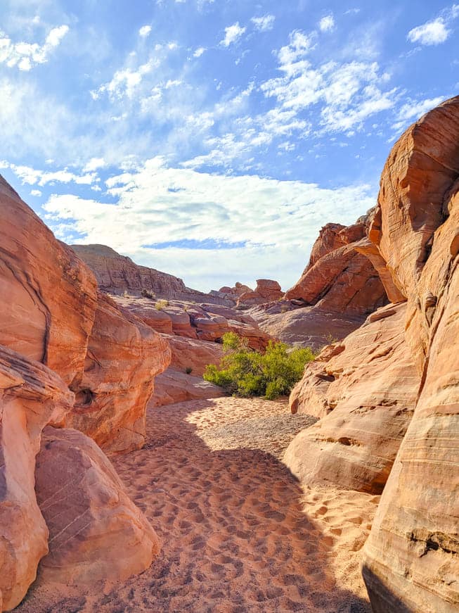 Things to do in Valley of Fire Pink Canyon