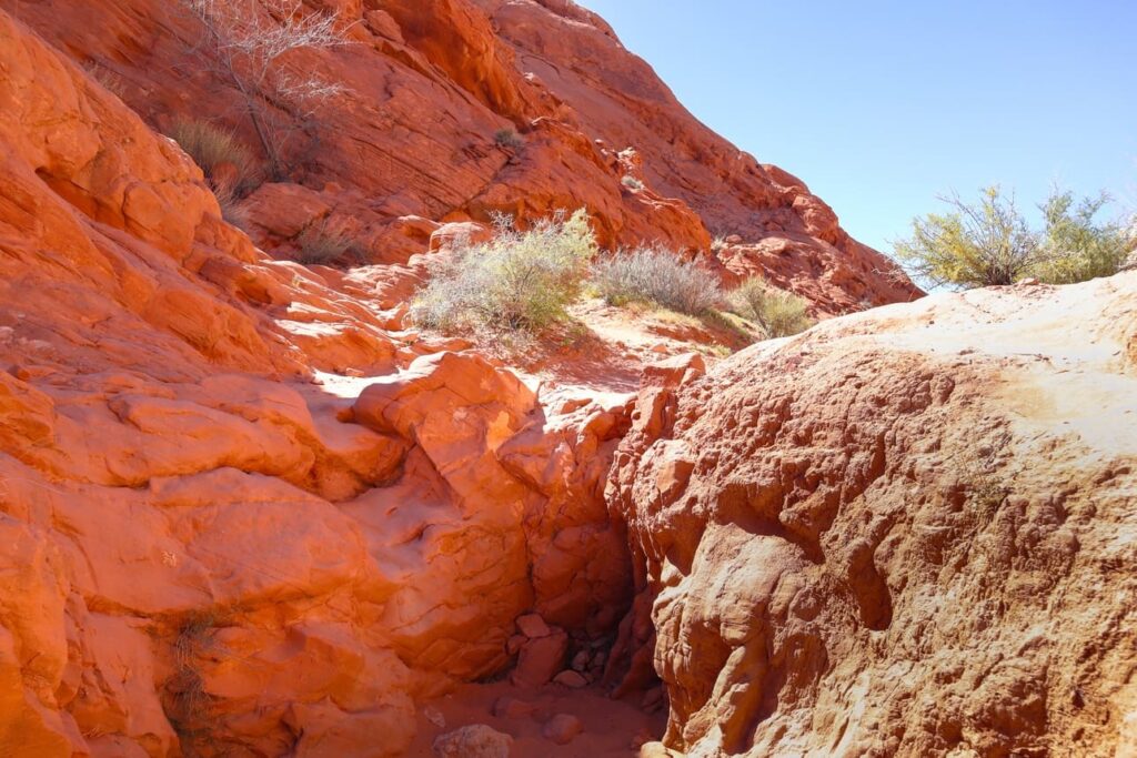 Things to do in Valley of Fire Rainbow Vista