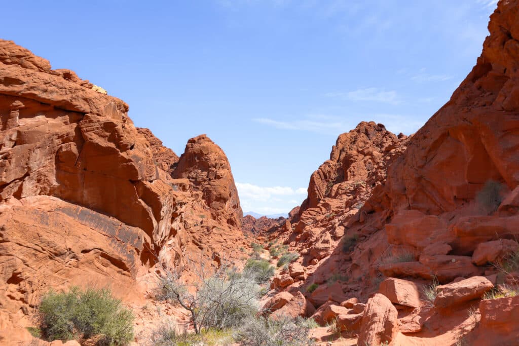 Things to do in Valley of Fire Rainbow Vista