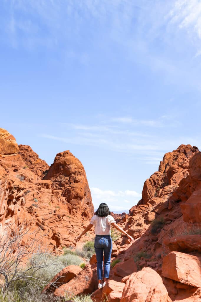 Things to do in Valley of Fire Rainbow Vista