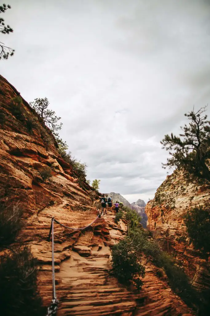 Angels landing Alex Holt