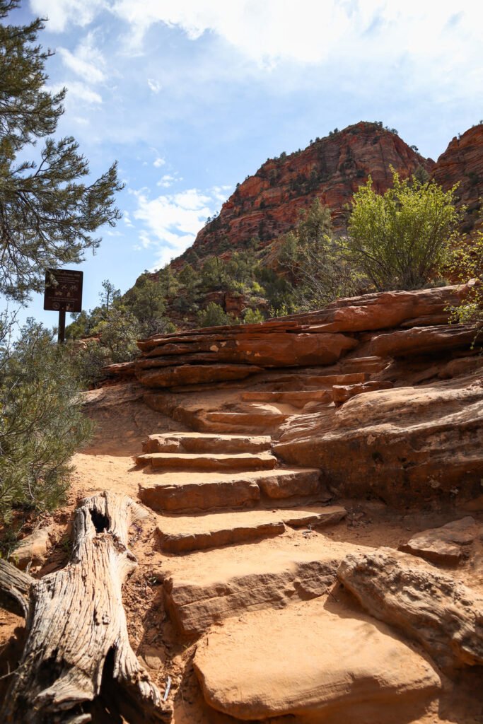 Canyon Overlook Trail