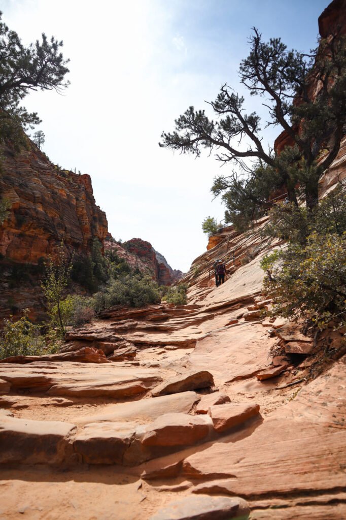 Canyon Overlook Trail