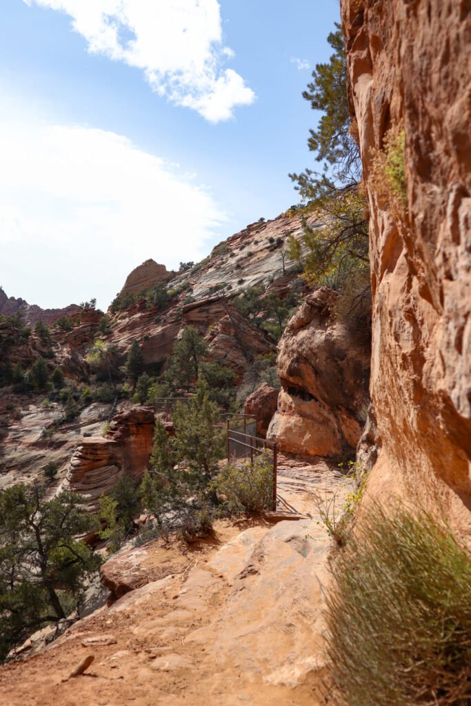 Canyon Overlook Trail