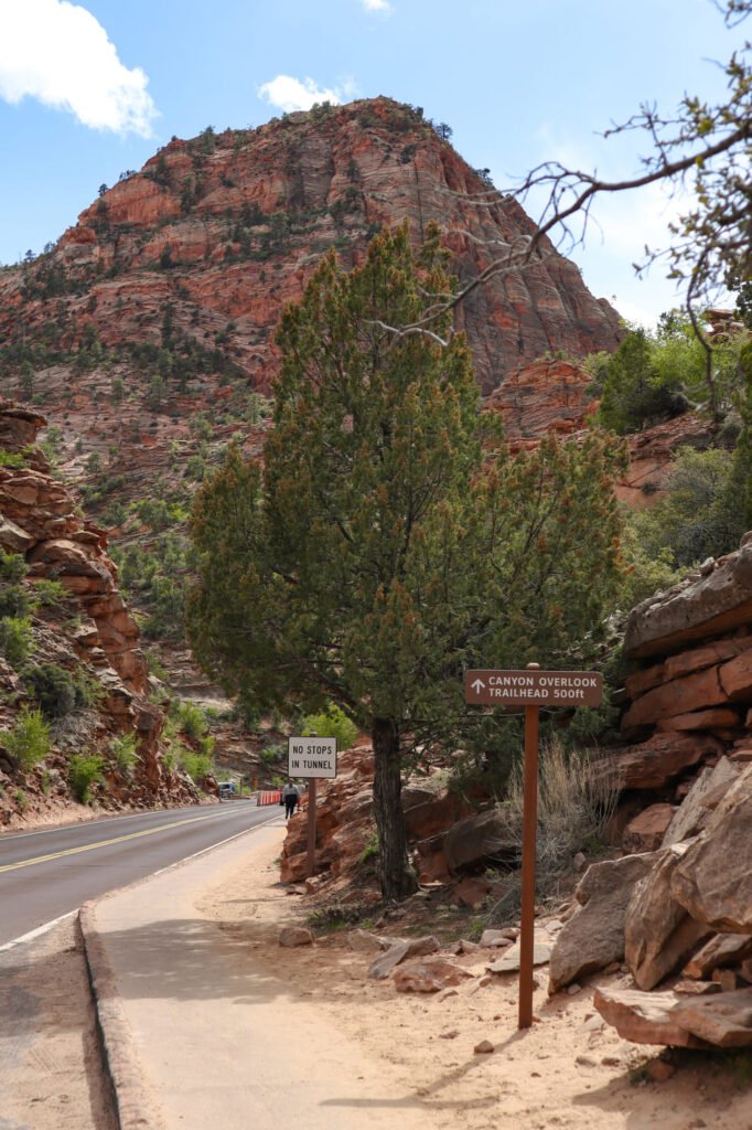 Canyon Overlook Trail