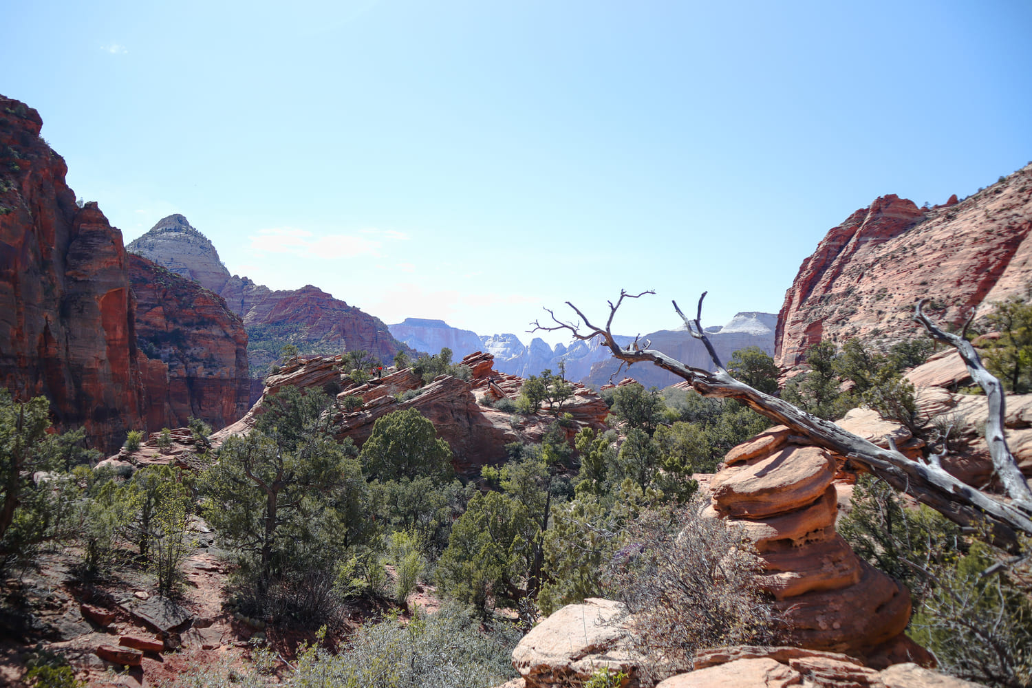 Hike Canyon Overlook Trail