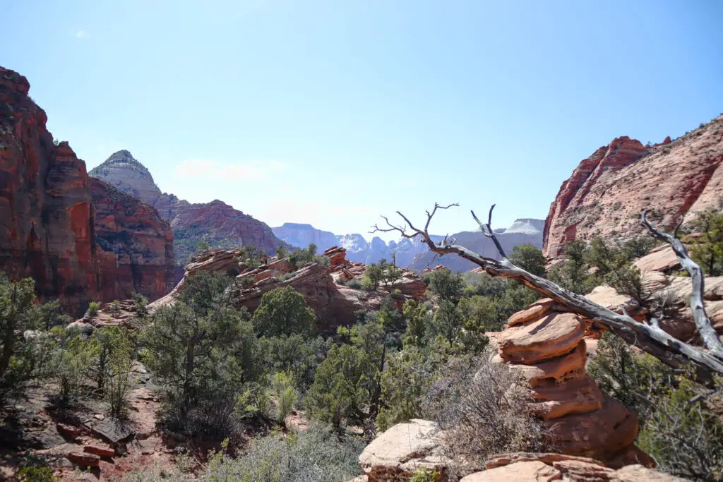 Visitar Zion National Park Canyon Overlook