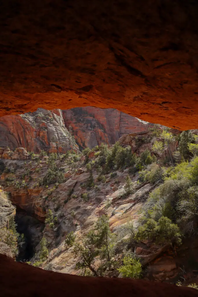 Visitar Zion National Park Canyon Overlook