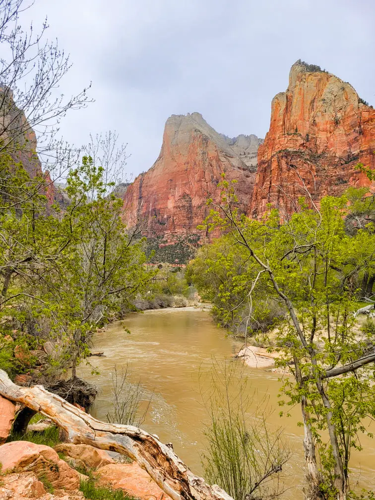 Visitar Zion National Park Court of the Patriarchs